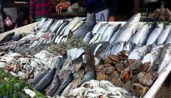التاجر ليس المسؤول الوحيد عن ارتفاع الأسعار.. هل نجحت حملات مقاطعة الأسماك في المدن الساحلية؟
