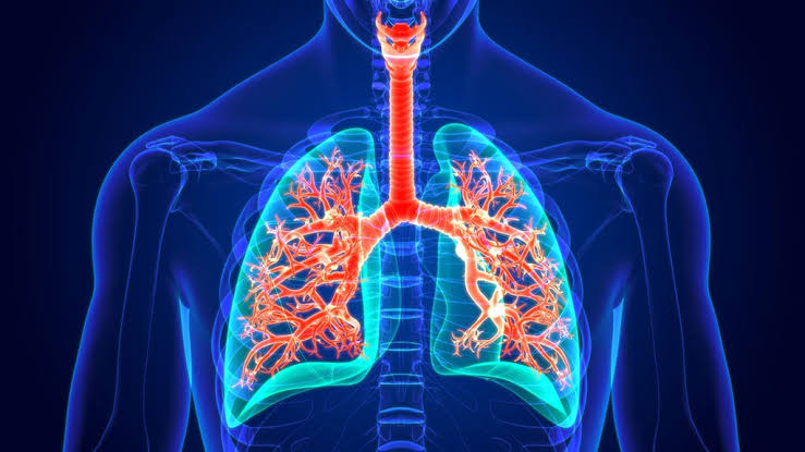 مرض الأسبيست Asbestosis.. الأعراض والتشخيص والعلاج