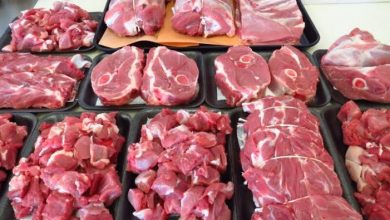 أسعار اللحوم الحمراء البلدي في الأسواق المصرية اليوم
