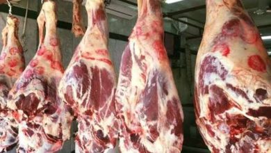سعر كيلو اللحم البلدي في الأسواق