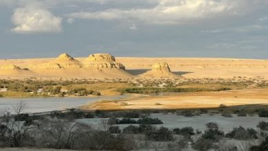 "البحيرة السحرية" سحر الطبيعة على أرض الفيوم.. صور