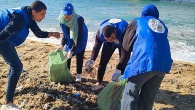 رفع 211 ألف كجم مخلفات صلبة وحملة لتنظيف شواطئ الإسكندرية.. اعرف التفاصيل