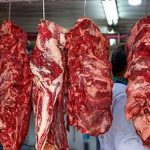 أسعار اللحوم اليوم.. استقرار ملحوظ في الأسواق والمنافذ الرسمية