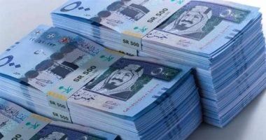 سعر الريال السعودى اليوم السبت 28-12-2024.. بالبنك المركزي بـ13.52 جنيه للشراء