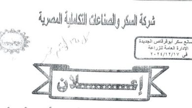 شركة السكر والصناعات التكاملية بالمنيا تعلن بدء توريد محصول القصب 2 يناير