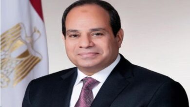 الرئيس السيسي يتابع الموقف التنفيذي للمشروعات الصناعية وتوفير المواد الخام اللازمة