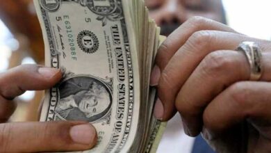 سعر الدولار اليوم السبت 13 سبتمبر 2025.. استقرار العملة الخضراء