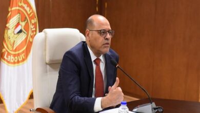 وزير العمل يعتمد صرف 2.9 مليون جنيه لرعاية 374 من العمالة غير المنتظمة في 25 محافظة