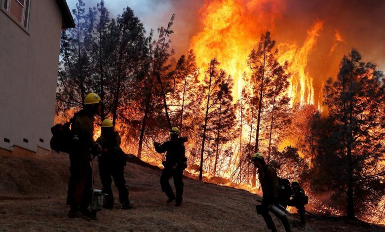 حرائق ضخمة في غابات دير حنا المحتلة تواصل إشعال مخاوف إسرائيلية من انتشار النيران