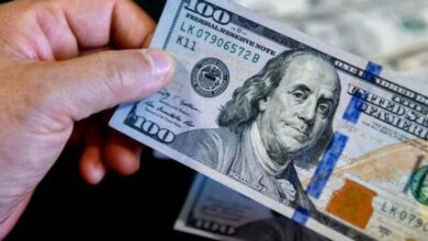 سعر الدولار اليوم في مصر.. استقرار ملحوظ في البنوك