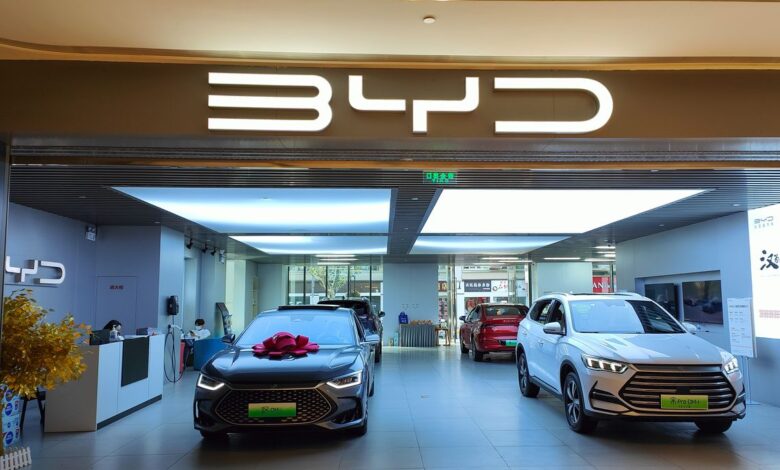 تراجع أرباح شركة بي واي دي BYD الصينية لأول مرة منذ ثلاث سنوات بسبب حرب الأسعار