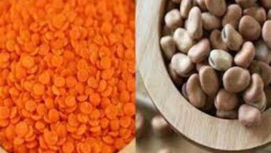 تراجع أسعار الأرز والفول والمكرونة والعدس في الأسواق المصرية مع وفرة المعروض