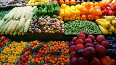 أسعار الخضراوات والفاكهة في سوق العبور للجملة