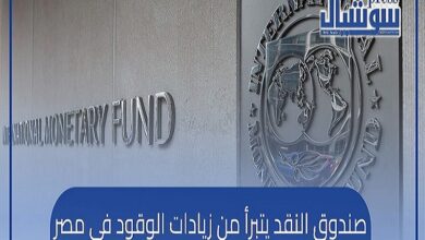 صندوق النقد يتبرأ من زيادات الوقود في مصر: الحكومة وراء القرار (جراف)