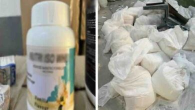 ضبط 4.7 مليون قرص مكملات غذائية وأدوية مجهولة المصدر داخل مخازن وصيدلية