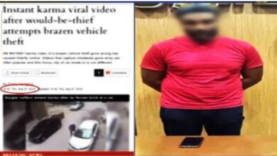 الحجر ضرب في وجهه.. الداخلية تكشف حقيقة فيديو محاولة كسر زجاج سيارة لسرقتها