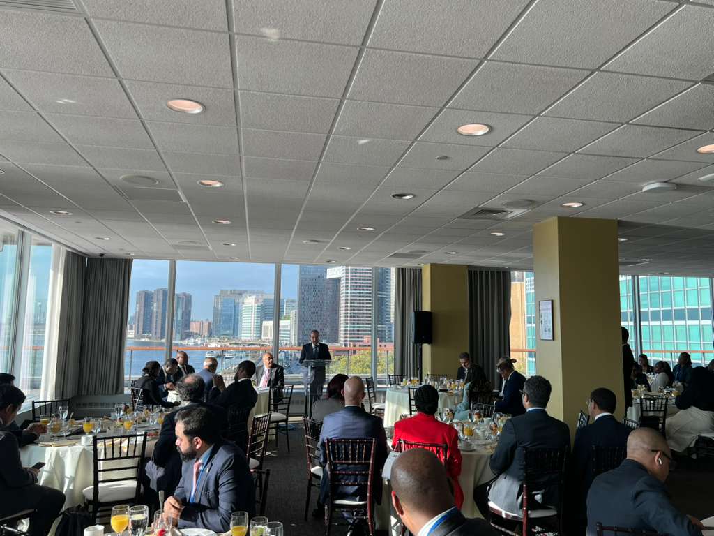 عبدالعاطي وأعضاء الدول النامية 