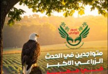 ما هي شركة نسور الوادي لتنمية واستصلاح الأراضي الزراعية؟.. تفاصيل المخالفات وقصة التحذيرات الرسمية
