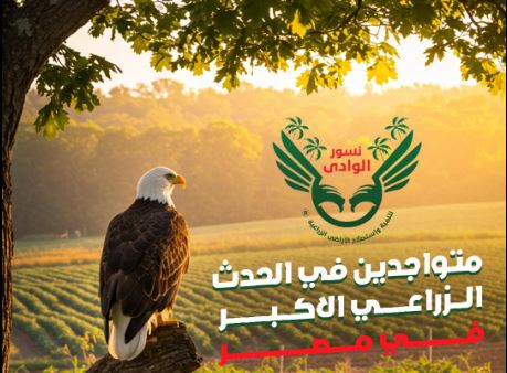 ما هي شركة نسور الوادي لتنمية واستصلاح الأراضي الزراعية؟.. تفاصيل المخالفات وقصة التحذيرات الرسمية