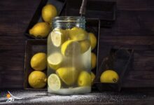 خبيرة تغذية: تناول الليمون يوميًا يعزز المناعة ويحمي من الأمراض المزمنة خبيرة تغذية: تناول الليمون يوميًا يعزز المناعة ويحمي من الأمراض المزمنة