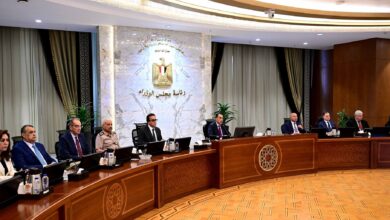 12 قرارا عاجلا لـ مجلس الوزراء في اجتماعه اليوم