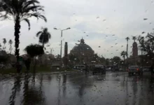 استعد لبرد الصباح.. شبورة وأمطار خفيفة قد تفاجئك غدًا