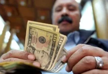 تدفقات دولارية.. قفزة جديدة في تحويلات المصريين بالخارج تنعش خزينة المركزي تدفقات دولارية.. قفزة جديدة في تحويلات المصريين بالخارج تنعش خزينة المركزي