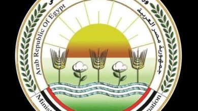 الزراعة تطلق غدا سلسلة قوافل التنمية الزراعية الشاملة من محافظة المنيا