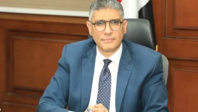 محافظ الجيزة يعلن انطلاق المهرجان الدولي الثامن للتمور المصرية بالواحات البحرية يوم السبت المقبل