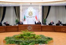 علاقات مصر والجزائر تنتقل لمرحلة جديدة.. أبرز ما كشفه اجتماع اللجنة المشتركة علاقات مصر والجزائر تنتقل لمرحلة جديدة.. أبرز ما كشفه اجتماع اللجنة المشتركة