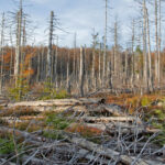 بعد بركان إثيوبيا.. هل تهدد الأمطار الحمضية مصر؟