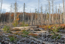 بعد بركان إثيوبيا.. هل تهدد الأمطار الحمضية مصر؟