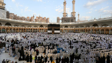 الداخلية تشدد على تعليمات الحج 2026: عدم الخروج في الحر الشديد وثبات الأسعار الداخلية تشدد على تعليمات الحج 2026: عدم الخروج في الحر الشديد وثبات الأسعار