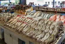 أسعار الأسماك في الأسواق المصرية اليوم 