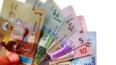 أسعار الدينار الكويتي اليوم في مصر.. تباين بين البنوك وارتفاع طفيف أسعار الدينار الكويتي اليوم في مصر.. تباين بين البنوك وارتفاع طفيف