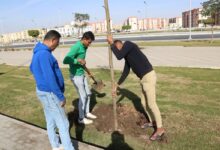 انطلاق المرحلة الرابعة من مبادرة «100 مليون شجرة» بزراعة 5040 شجرة في السويس