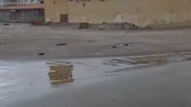 موجة مفاجئة تجتاح شواطئ دمياط… ما الذي يحدث للكافيهات؟