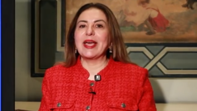 نائب وزير الاتصالات: مصر تتبنى الذكاء الاصطناعي للمواطنين والموظفين والأمن السيبراني أولوية قصوى