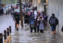 هل تتعطل الدراسة اليوم بسبب الطقس؟.. التعليم تكشف الحقيقة والمحافظات تحسم الموقف هل تتعطل الدراسة اليوم بسبب الطقس؟.. التعليم تكشف الحقيقة والمحافظات تحسم الموقف