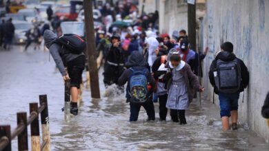 هل تتعطل الدراسة اليوم بسبب الطقس؟.. التعليم تكشف الحقيقة والمحافظات تحسم الموقف هل تتعطل الدراسة اليوم بسبب الطقس؟.. التعليم تكشف الحقيقة والمحافظات تحسم الموقف