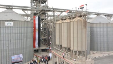 مخزون القمح في أمان.. كل ما تريد معرفته عن خطة تطوير الصوامع الجديدة مخزون القمح في أمان.. كل ما تريد معرفته عن خطة تطوير الصوامع الجديدة