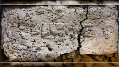 قطعة أثرية مصرية تكشف لغزًا تاريخيا حير العالم.. فعلها أحمس قطعة أثرية مصرية تكشف لغزًا تاريخيا حير العالم.. فعلها أحمس