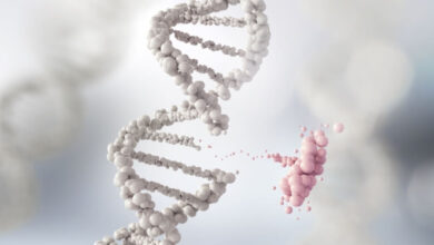 FDA توافق على أول علاج جيني لمتلازمة ويسكوت-ألدريتش النادرة