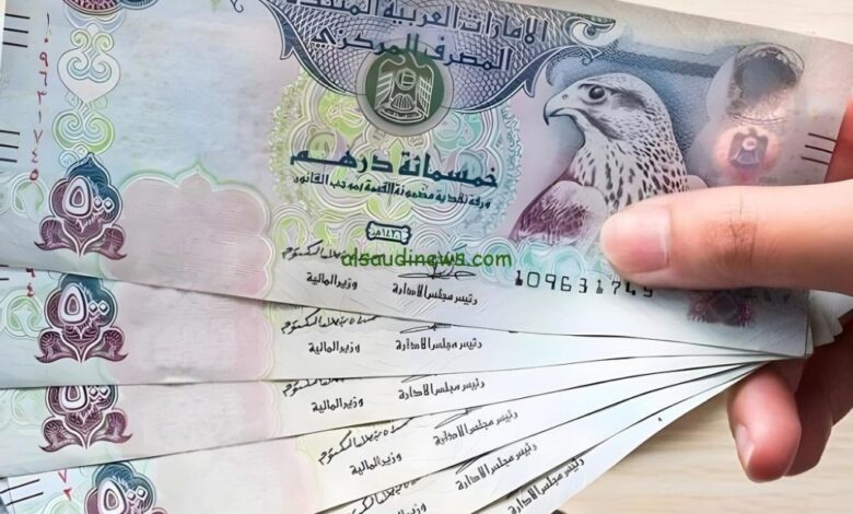 سعر الدرهم الإماراتي أمام الجنيه اليوم.. أحدث أسعار البنوك سعر الدرهم الإماراتي أمام الجنيه اليوم.. أحدث أسعار البنوك