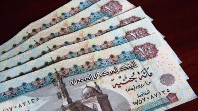 مواعيد صرف المنح للعمالة غير المنتظمة خلال 2026