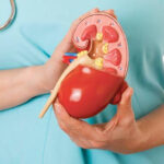 أفضل 5 أطعمة تحمي الكلى وتقلل خطر الأمراض المزمنة