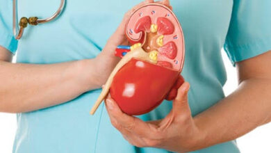 أفضل 5 أطعمة تحمي الكلى وتقلل خطر الأمراض المزمنة