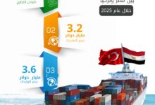 «الإحصاء»: 6.8 مليار دولار حجم التبادل التجاري بين مصر وتركيا في 2025